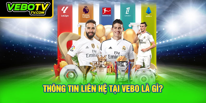 Thông tin liên hệ tại VEBO là gì?